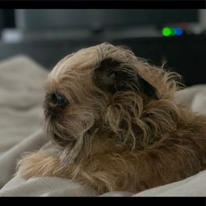 Meet your Posher, Arturo